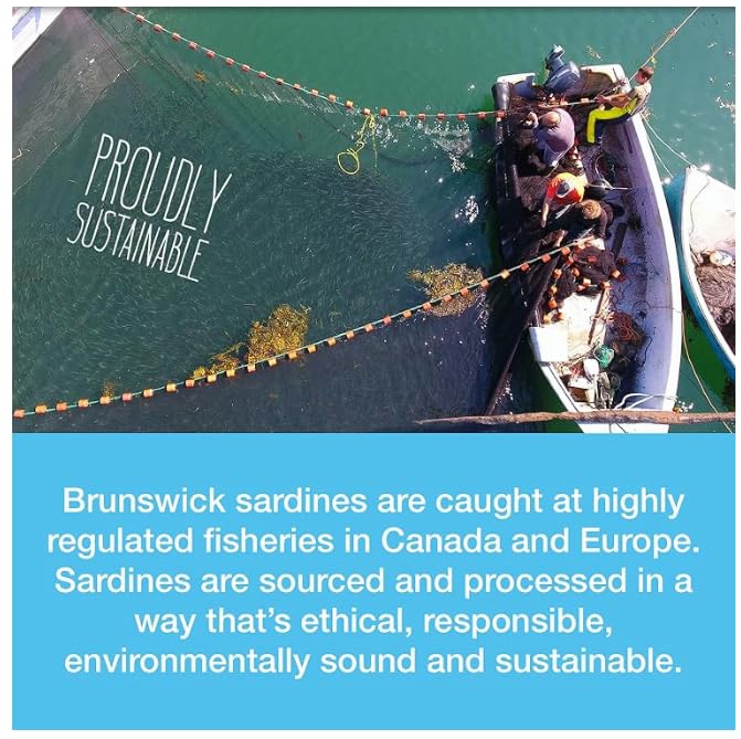Brunswick Golden Smoked Sardine Fillets - 92g Cans, Pack of 18 | Protein-Rich Seafood Snack with Omega-3 & Vitamin D