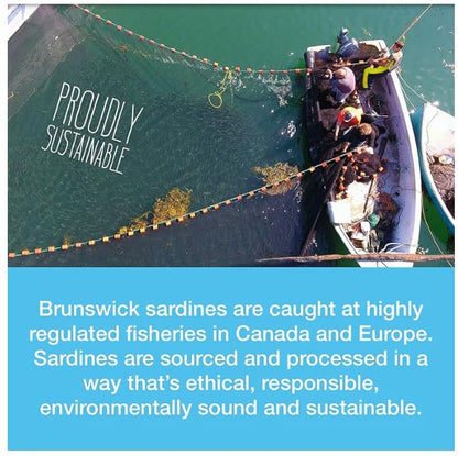 Brunswick Golden Smoked Sardine Fillets - 92g Cans, Pack of 18 | Protein-Rich Seafood Snack with Omega-3 & Vitamin D