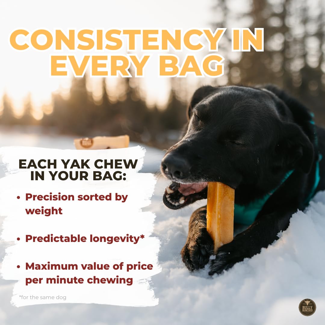 Bully Bunches Large Authentic Yak Cheese Himalayan Chews for Large Dogs & Heavy Chewers - All Natural Dog Treat Dental Chews, Made with Real Yak Milk - Lactose & Rawhide Free (2 Pk)