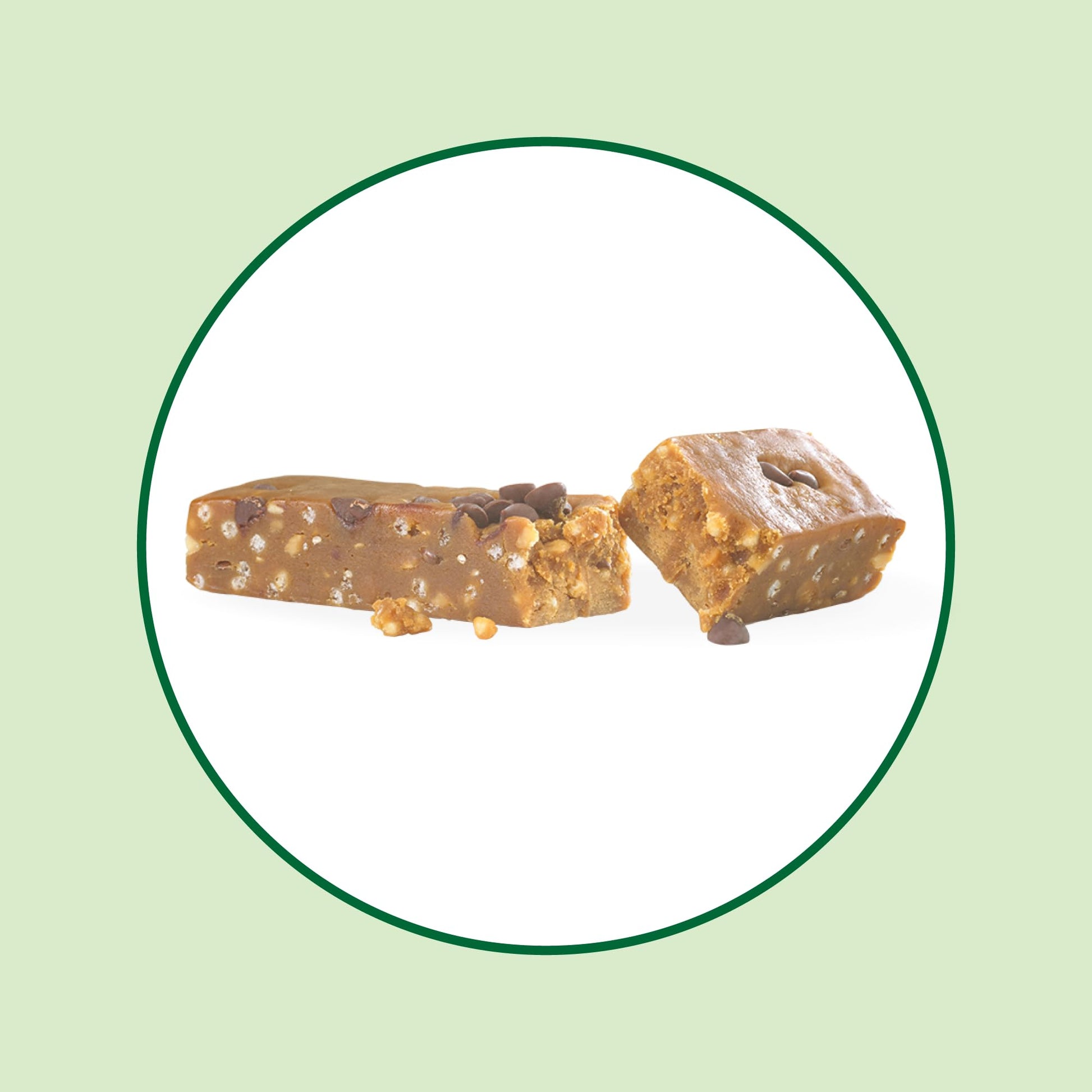 Iron Vegan Sprouted Protein Bars | Peanut Chocolate Chip Flavour | 12 Pack - Available at All In One Marketplace Canada