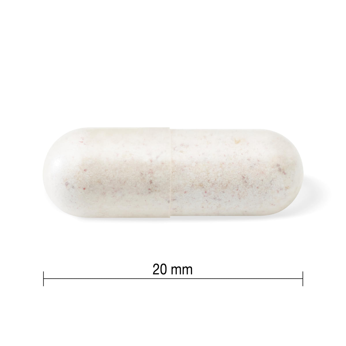 Jamieson Adult 50+ Probiotic 15 Billion Active Cells, Bifidobacterium Boost, Supports Digestive Health and Intestinal Health. 10 Unique Strains, Including Lactobacillus and Bifidobacterium, Non-GMO, Gluten-Free, 30 Vegetarian capsules