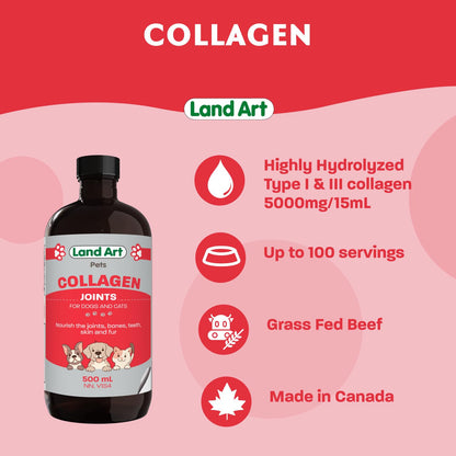 Pet Collagen Supplement - Grass Fed Beef Hydrolyzed - Natural Beef Flavour - Joint Care - Mobility & Health - Gluten, GMO & Sugar Free - for Dog & Cats - Made in Canada - 500ml - Available at All In One Marketplace Canada