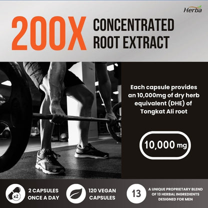 Herba Tongkat Ali Extract for Men - 200:1 Concentrate – 10,000mg Equivalent | 120 Vegetable Capsules | Enhanced Formula Made in Canada