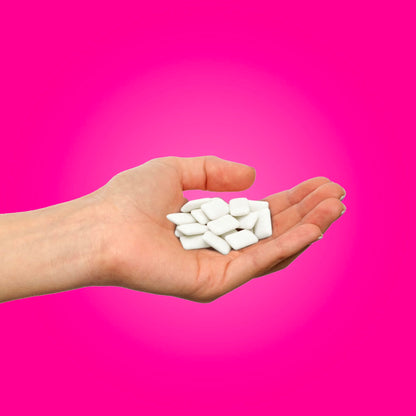 PUR Gum Variety Pack | Sugar-Free Chewing Gum Sweetened with 100% Xylitol | 8 Flavors, 55 Pieces Per Pack