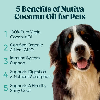 Nutiva Organic Cold-Pressed Virgin Coconut Oil, 1.6 L | Organic, Non-GMO, Fair Trade | Vegan, Keto, Paleo | Fresh Coconut Flavor and Aroma for Cooking & Healthy Skin and Hair