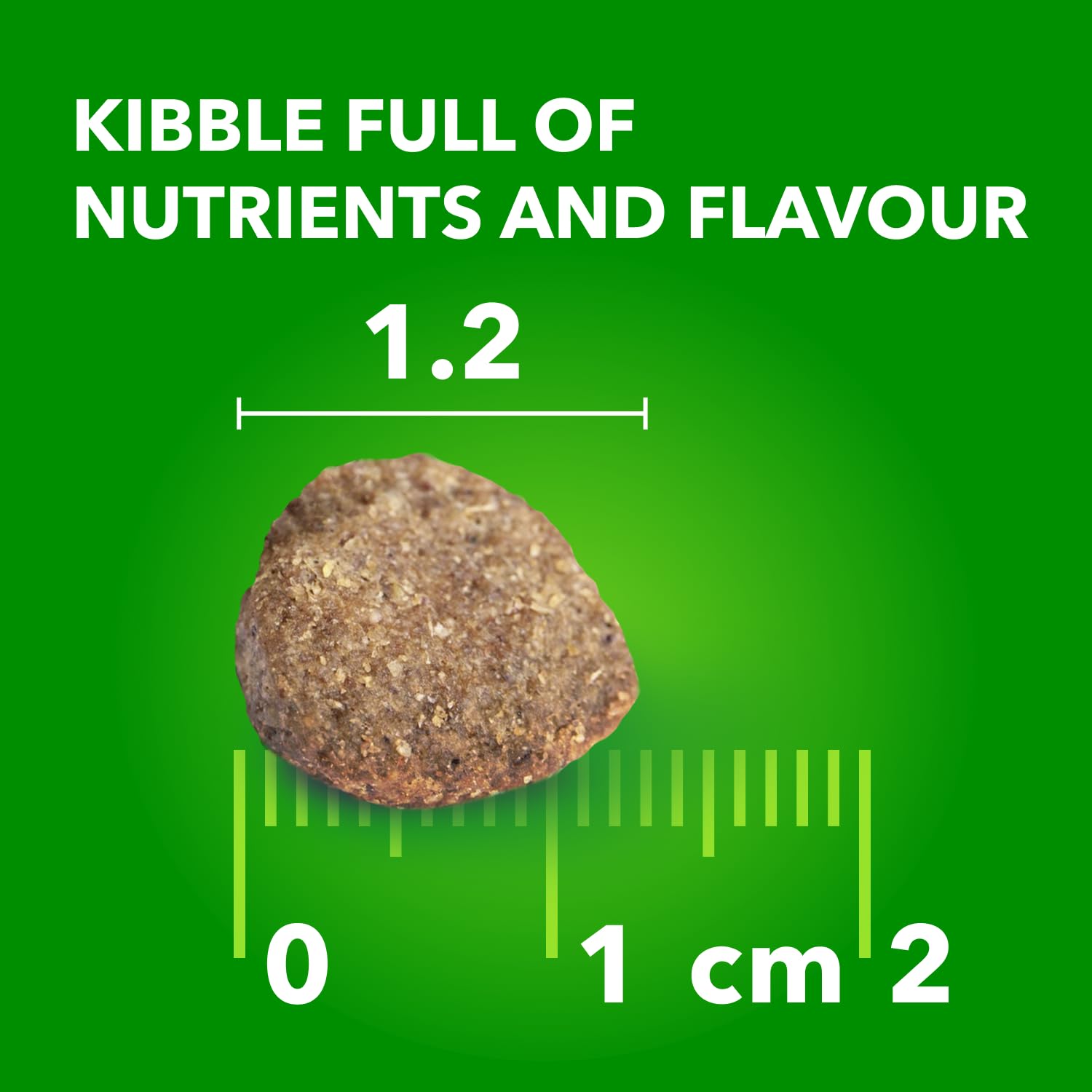 IAMS Proactive Health Minichunks Dry Dog Food – Crunchy Kibble For Adult Dogs – Lamb & Rice Recipe – 13.6KG (30LB) Bag - Available at All In One Marketplace Canada