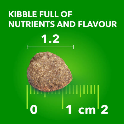 IAMS Proactive Health Minichunks Dry Dog Food – Crunchy Kibble For Adult Dogs – Lamb & Rice Recipe – 13.6KG (30LB) Bag - Available at All In One Marketplace Canada