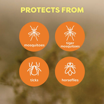 OFF Deep Woods Insect and Mosquito Bug Spray Repellent for Sportsmen, Camping, Safe for Clothing, 230g, 2pk, (Packaging May Vary)