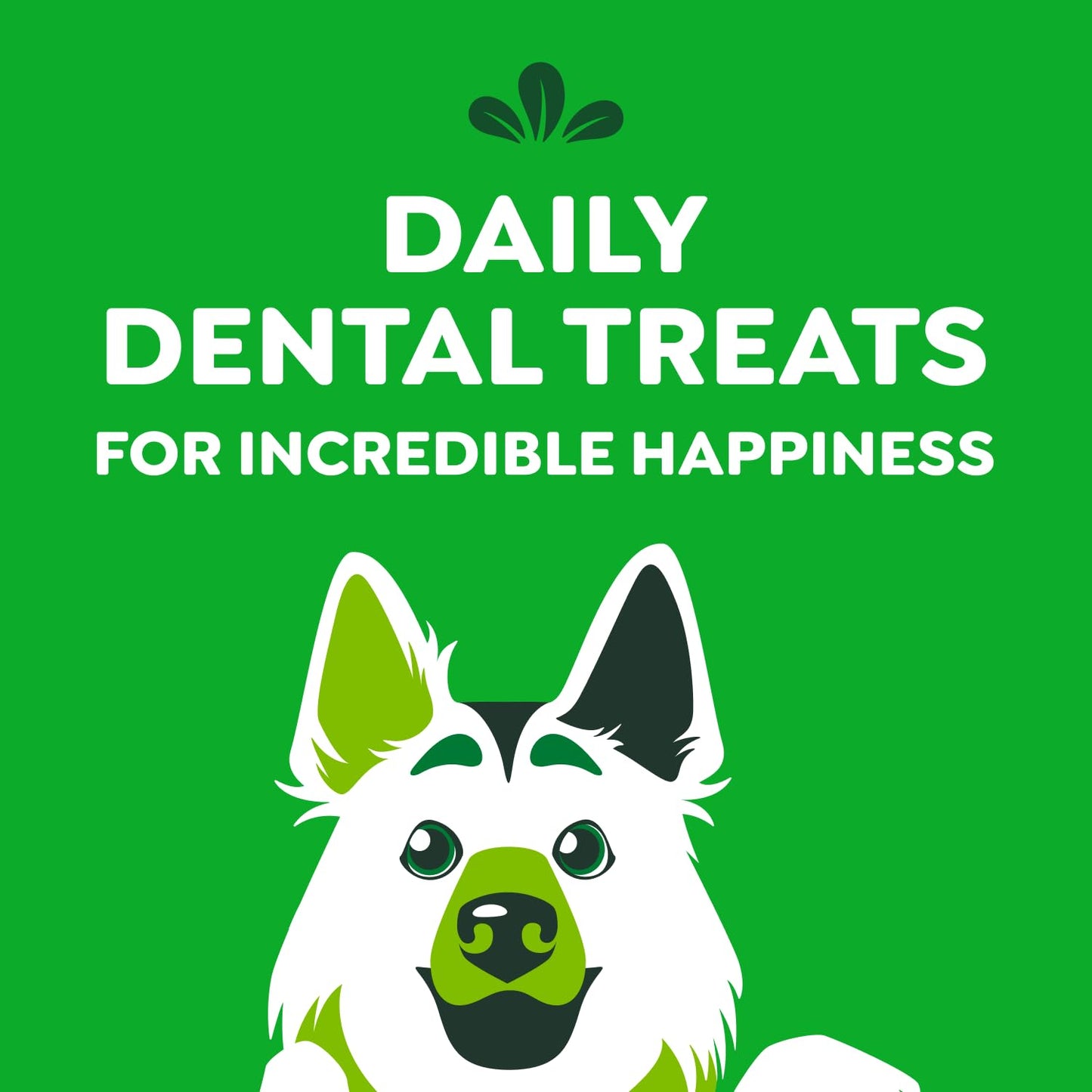 Greenies Adult Dog Treats, 1.02kg 🍁 All In One Marketplace Canada
