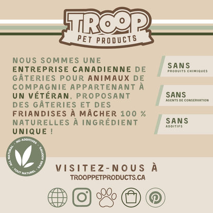 Troop Pet Products, Canadian Herring Oil, Natural Omega 3 Supplement for Improved Stamina, Immune System, Decreased Shedding, (1000ml) Troop Pet Products