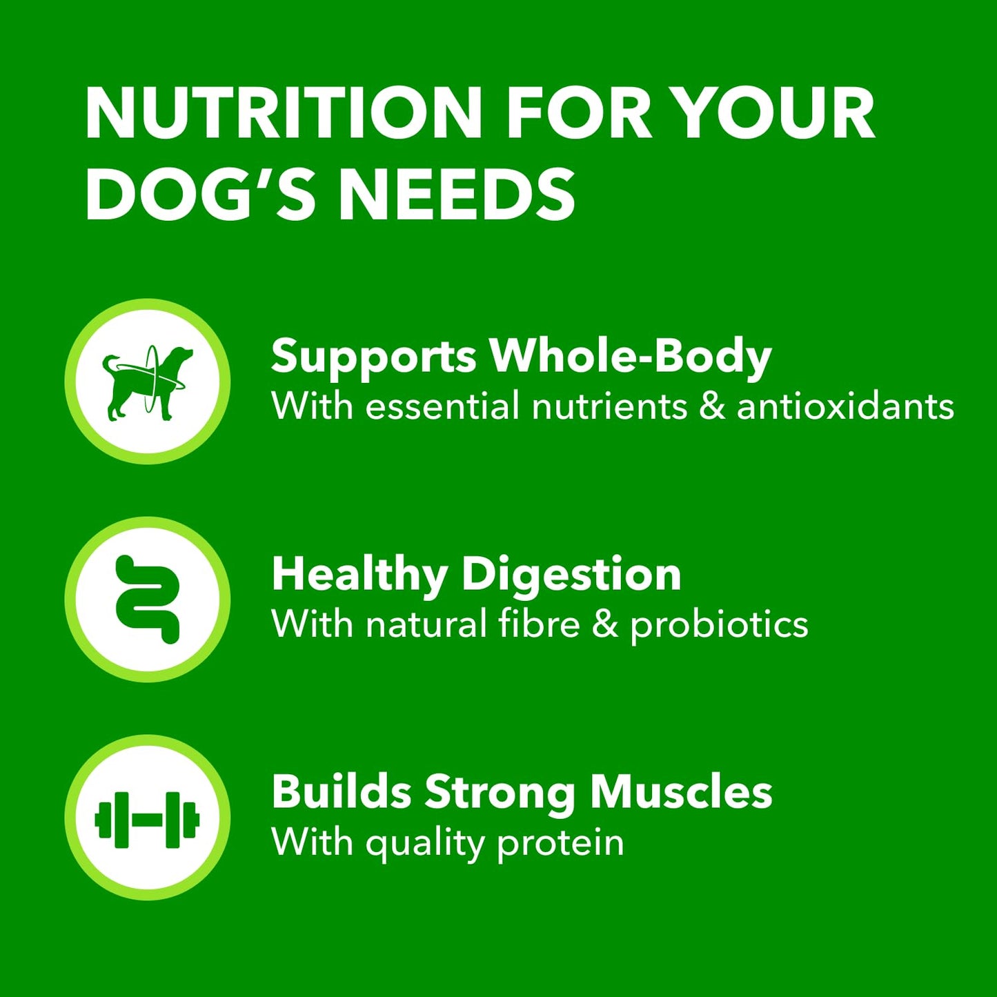 IAMS Proactive Health Minichunks Dry Dog Food – Crunchy Kibble For Adult Dogs – Lamb & Rice Recipe – 13.6KG (30LB) Bag - Available at All In One Marketplace Canada