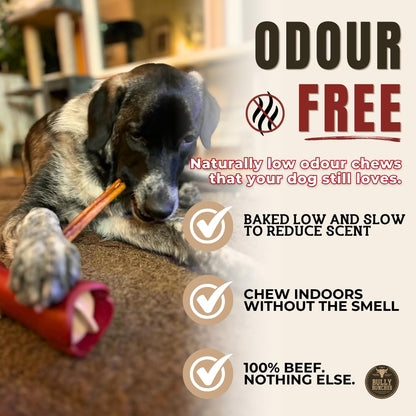 Bully Bunches Premium (12" Standard - 5 Pack) Odour-Free, Consistently Sized Bully Sticks for Medium Dogs - Long Lasting Oral Care Chews - All Natural Single Ingredient, Beef Dog Treat, No Rawhide