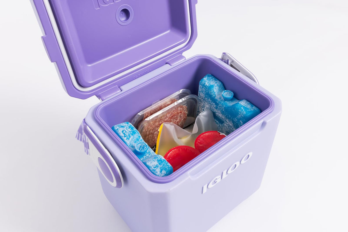 Igloo Maxcold Ice Block,2 Pieces, Ice Block