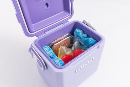Igloo Maxcold Ice Block,2 Pieces, Ice Block