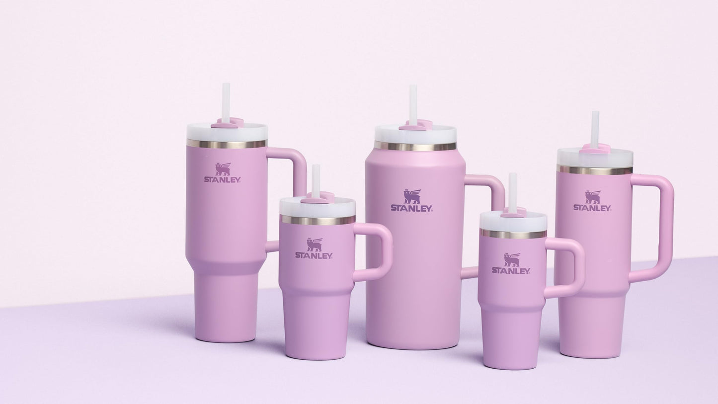 Stanley Quencher H2.0 Tumbler with Handle and Straw 20 oz Flowstate 3-Position Lid Cup Holder Compatible for Travel Insulated Stainless Steel Cup BPA-Free Lilac