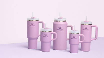 Stanley Quencher H2.0 Tumbler with Handle and Straw 20 oz Flowstate 3-Position Lid Cup Holder Compatible for Travel Insulated Stainless Steel Cup BPA-Free Lilac