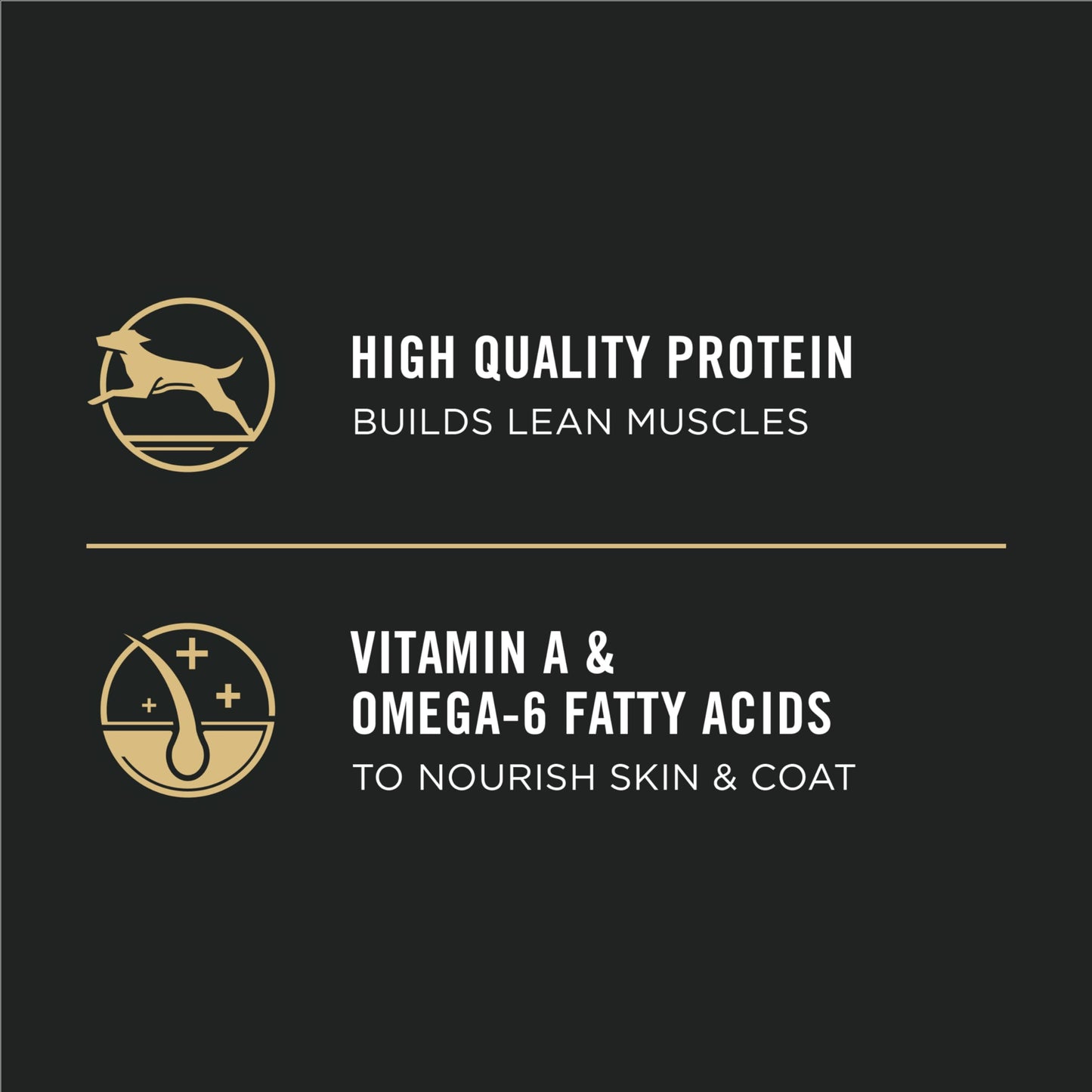 Purina Pro Plan Dry Puppy Food, Development Lamb & Rice - 2.72 kg Bag (1 Pack) 🍁 All In One Marketplace Canada