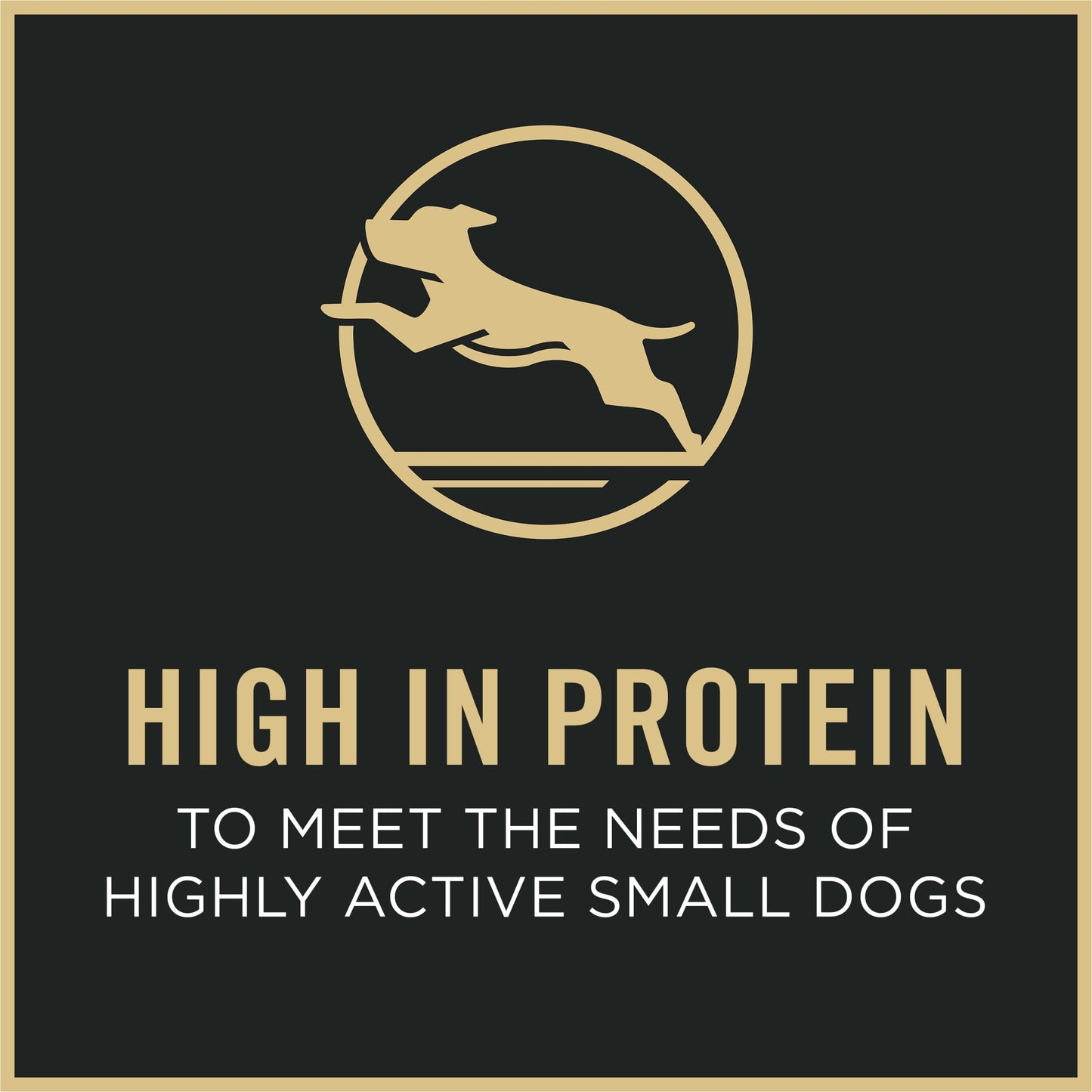 Purina Pro Plan Savor Adult Shredded Blend Small Breed Chicken & Rice Formula Dry Dog Food - (1) 6 lb. Bag 🍁 All In One Marketplace Canada