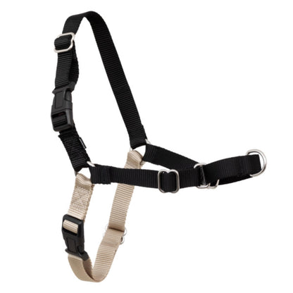PetSafe Easy Walk Harness, No Pull Harness for Dogs, Adjustable Harness with Included Matching Lead, Black Medium Large 🍁 All In One Marketplace Canada