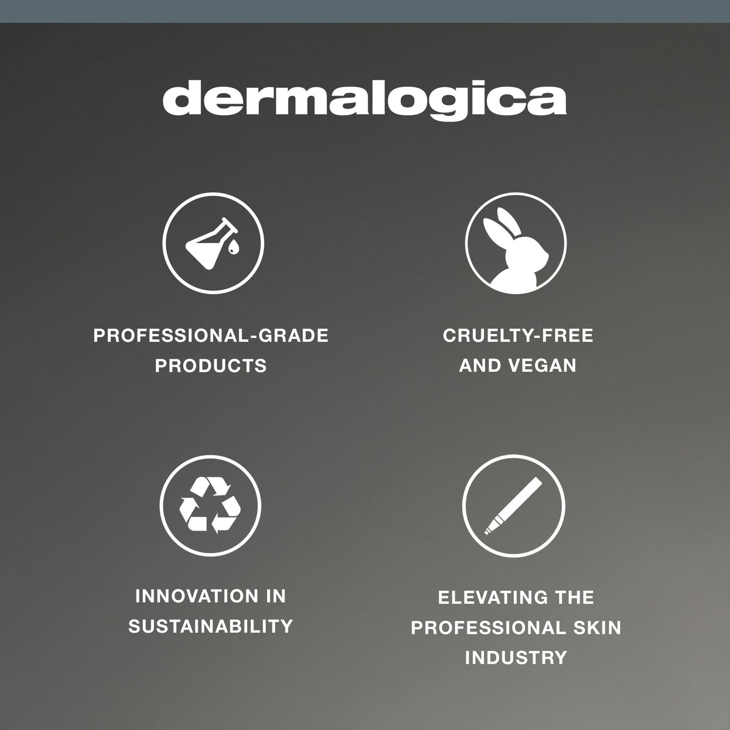Dermalogica Daily Superfoliant, 13 g Dermalogica