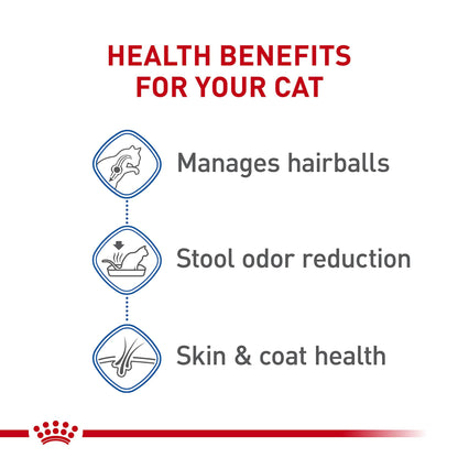 Royal Canin Indoor Long Hair Adult Dry Cat Food, 6 lb bag ROYAL CANIN