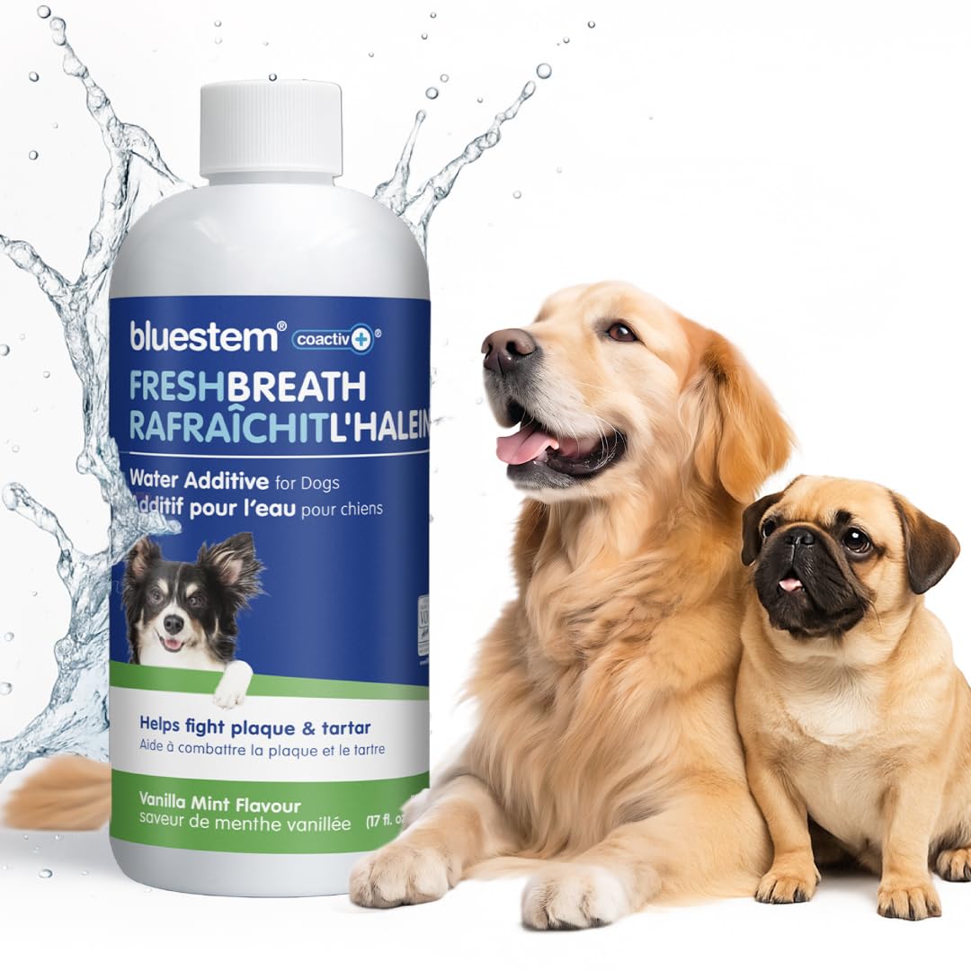 bluestem Dental Care Water Additive for Dogs – No Brushing Daily Teeth Cleaner – Pet Oral Rinse to Freshen Breath & Help Reduce Plaque – Flavorful & Easy Oral Hygiene (500 ml, Vanilla Mint)