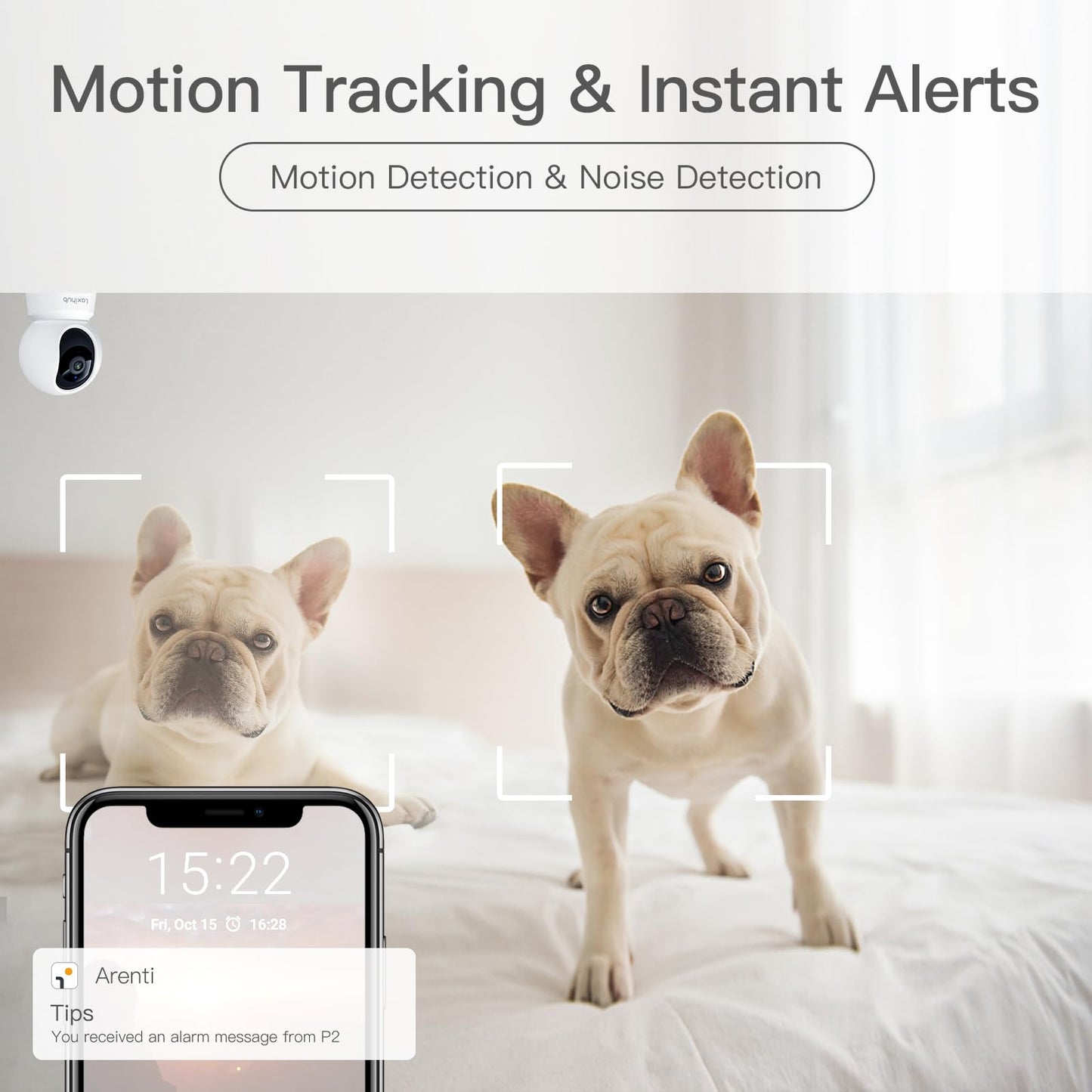 360° View 2K Pet Camera with Phone App 2 Pack, Indoor Security Camera, Baby Monitor, Motion Tracking, Pan/Tilt, Night Vision, Two-Way Audio, Works with Alexa, 2.4G WiFi Only (P2T 2PC)