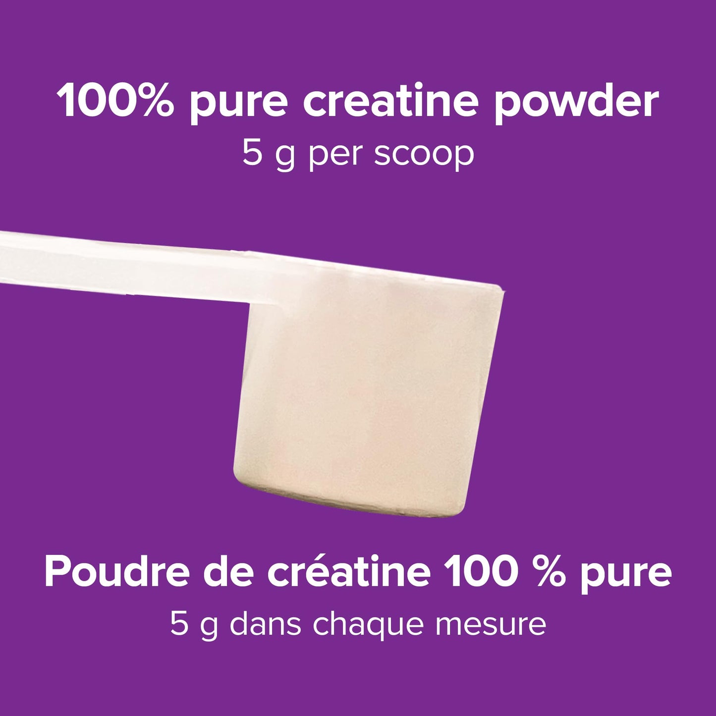 Webber Naturals Micronized Creatine Monohydrate Powder | 5g Per Serving | 100 Servings | Canadian-Made | Vegan | Supports Muscle, Strength & Performance | Unflavored | For Men & Women Webber Naturals
