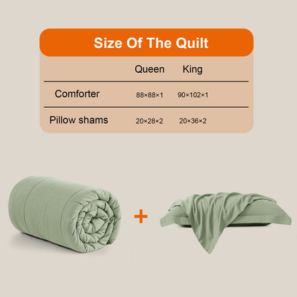 All Season Queen Comforter Set 3 PCs Soft Quilted Down Alternative Comforter+2 Pillow Shams with Corner Tabs,Winter Summer Warm Fluffy,Machine Washable (Sage Green, Queen) 🍁 All In One Marketplace Canada