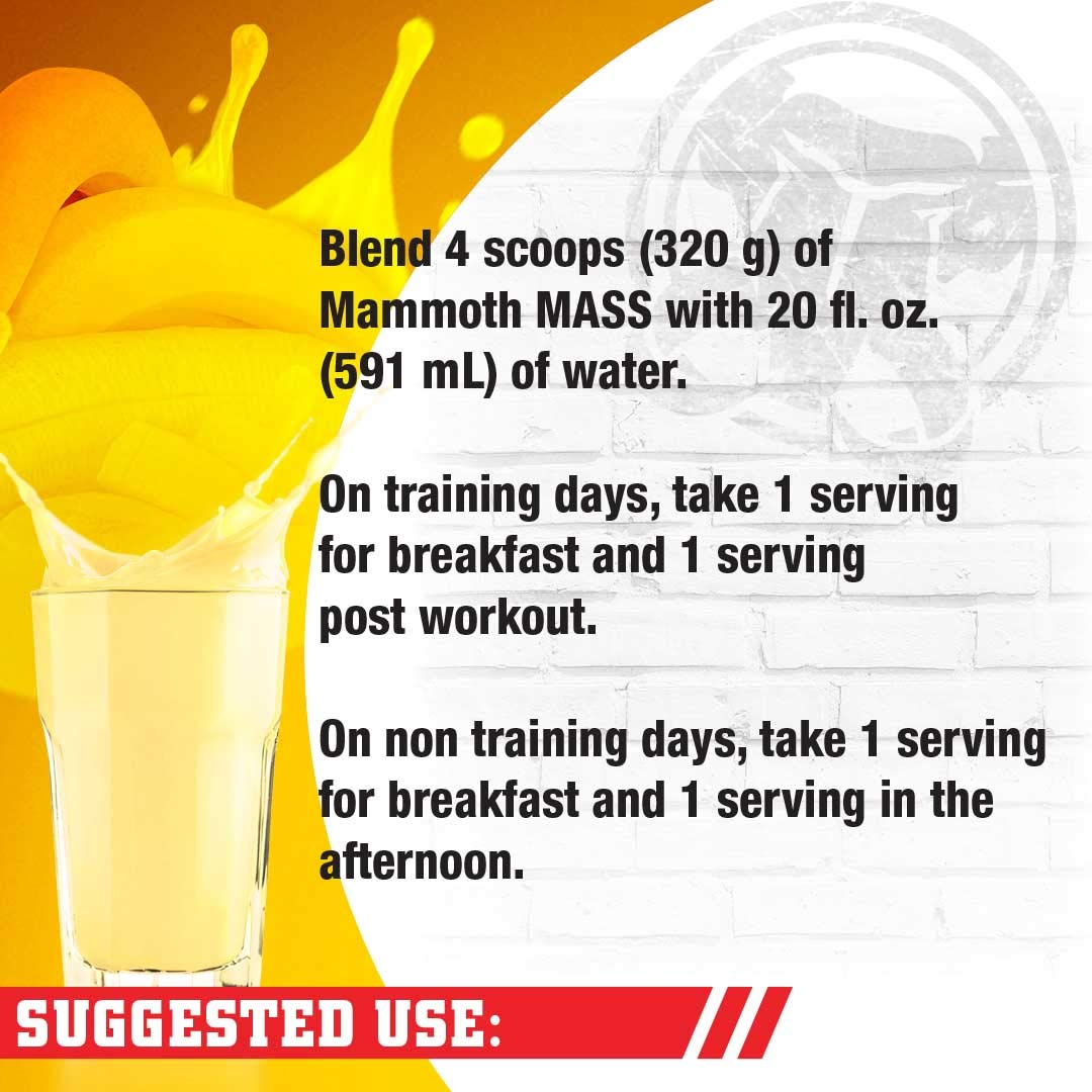 MAMMOTH MASS Weight Gainer Protein Powder - High Calorie Muscle Building Shake, Vanilla, 15 lb