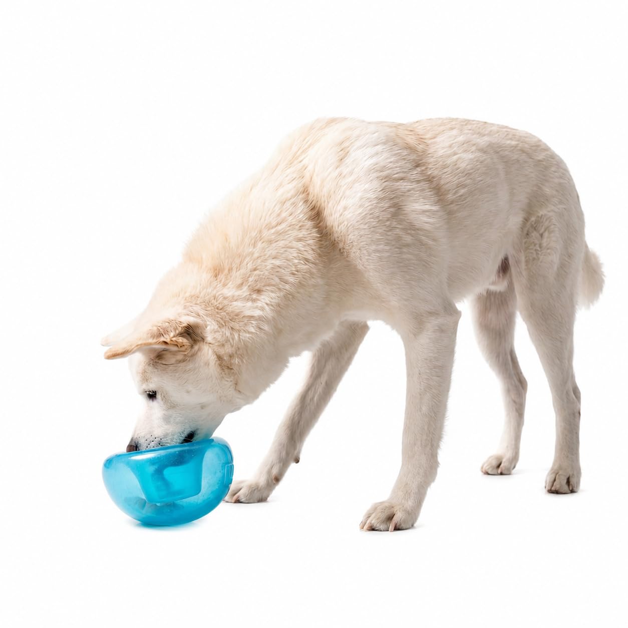 Planet Dog Orbee-Tuff Snoop Interactive Puzzle Dog Toy, Blue Outward Hound