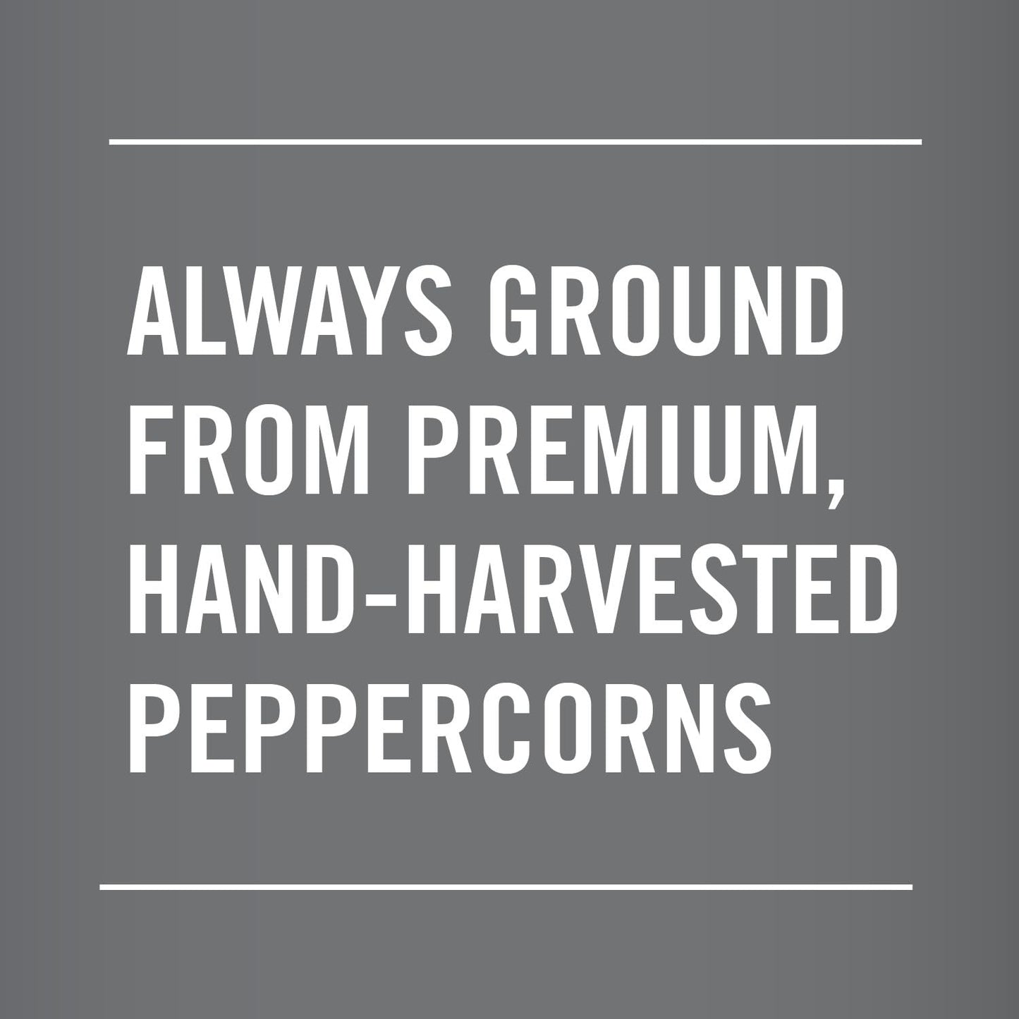 Club House Cracked Black Pepper - Premium Natural Spice, 520g (Case of 12)