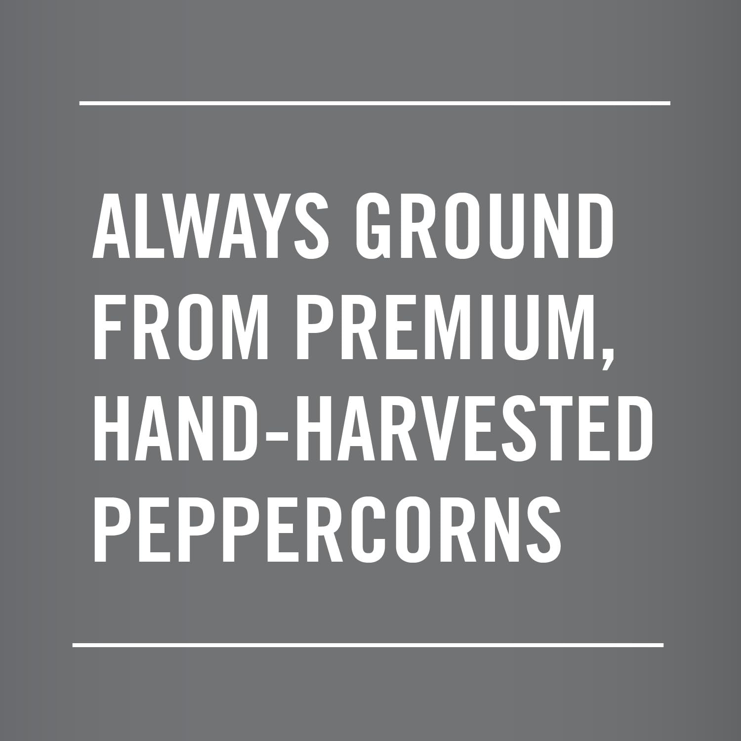 Club House Cracked Black Pepper - Premium Natural Spice, 520g (Case of 12)