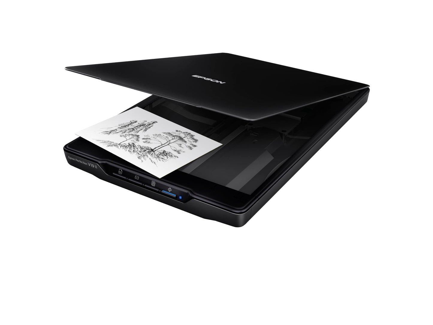 Epson Perfection V19 II Flatbed Photo Scanner 4800 dpi Optical Resolution Epson