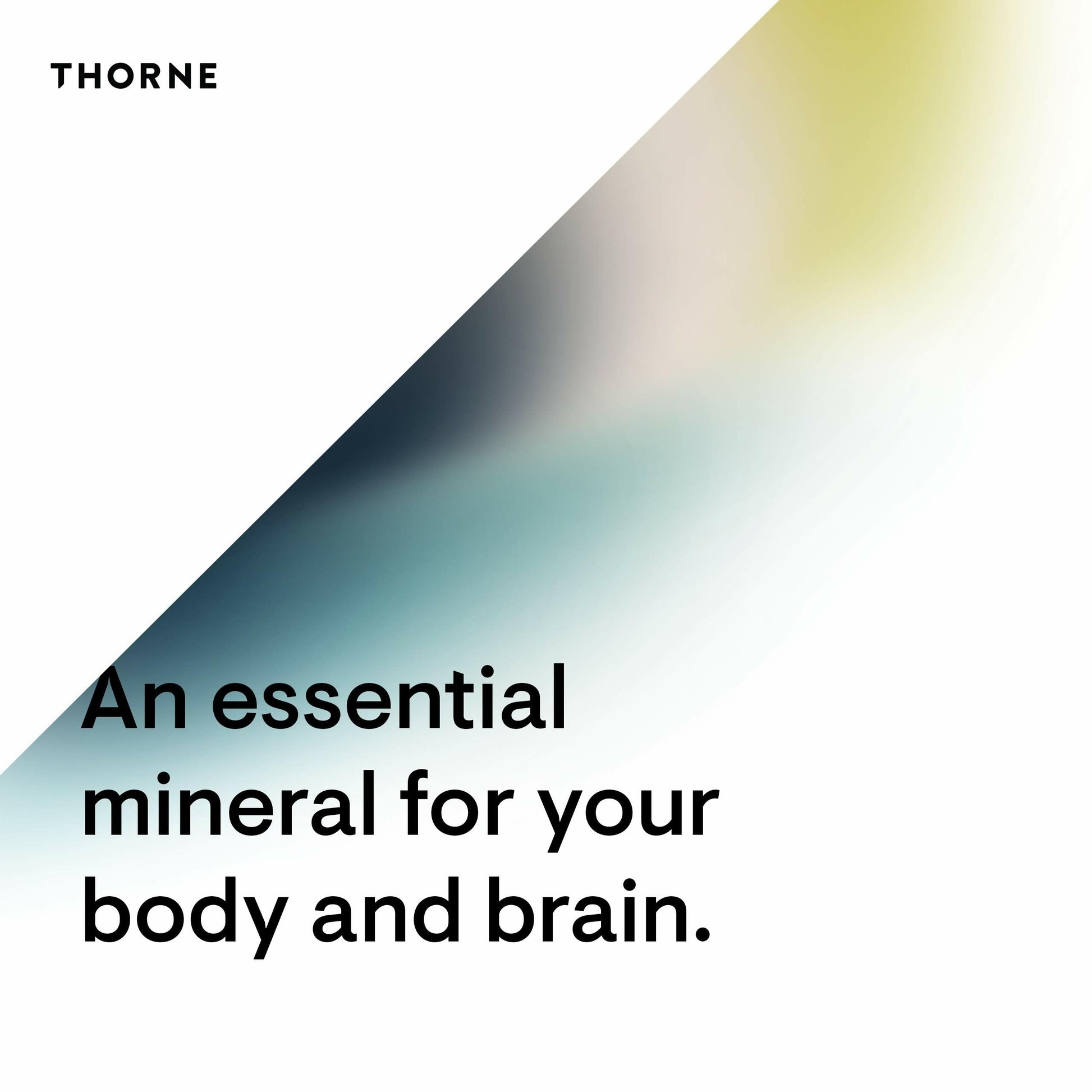 Thorne Magnesium Citramate - Magnesium with Citrate-Malate to Support Energy Production, Heart and Lung Function, and Metabolism of Sugar and Carbs - 90 Capsules - 90 Servings - Available at All In One Marketplace Canada