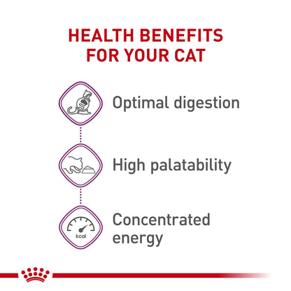 Royal Canin Feline Health Nutrition Sensitive Digestion Cat Food Dry Formula, Balanced Nutrition to Support Digestive Health, 7 lb Bag 🍁 All In One Marketplace Canada