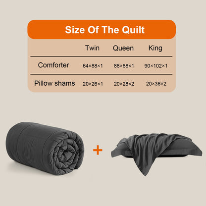 All Season Queen Comforter Set 3 PCs Soft Quilted Down Alternative Comforter+2 Pillow Shams with Corner Tabs,Winter Summer Warm Fluffy,Machine Washable (Queen, Grey) 🍁 All In One Marketplace Canada