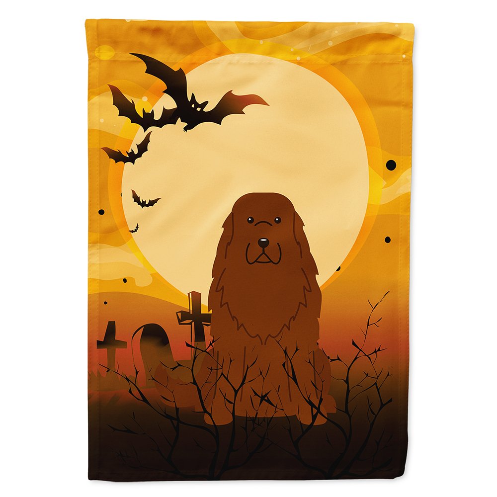 Drapeau de maison en toile Caroline's Treasures BB4316CHF Halloween Berger du Caucase, Grand, Multicolore
