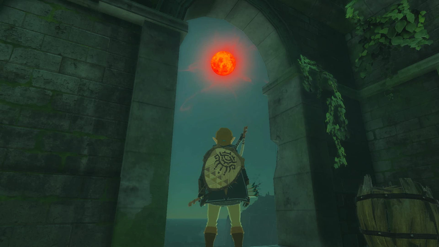 The Legend of Zelda™: Tears of the Kingdom (CAN Version)
