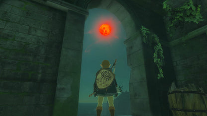 The Legend of Zelda™: Tears of the Kingdom (CAN Version)