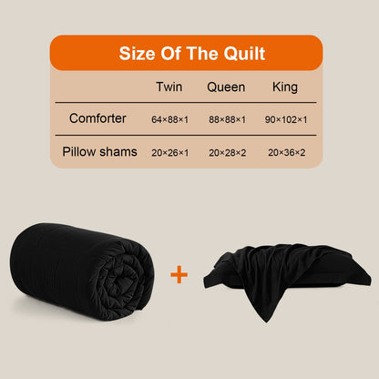 All Season Queen Comforter Set 3 PCs Soft Quilted Down Alternative Comforter+2 Pillow Shams with Corner Tabs,Winter Summer Warm Fluffy,Machine Washable(Black, Queen) 🍁 All In One Marketplace Canada