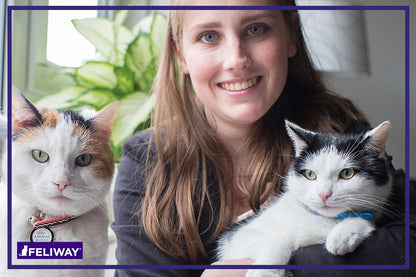 FELIWAY Friends Diffuser Refill Value Pack, Promotes harmony between cats in multi-cat households, VHP Registered NN.X7C2, includes 3 Refills, Lasts 90 Days, Cat Calming Pheromones, 3 x 48ml