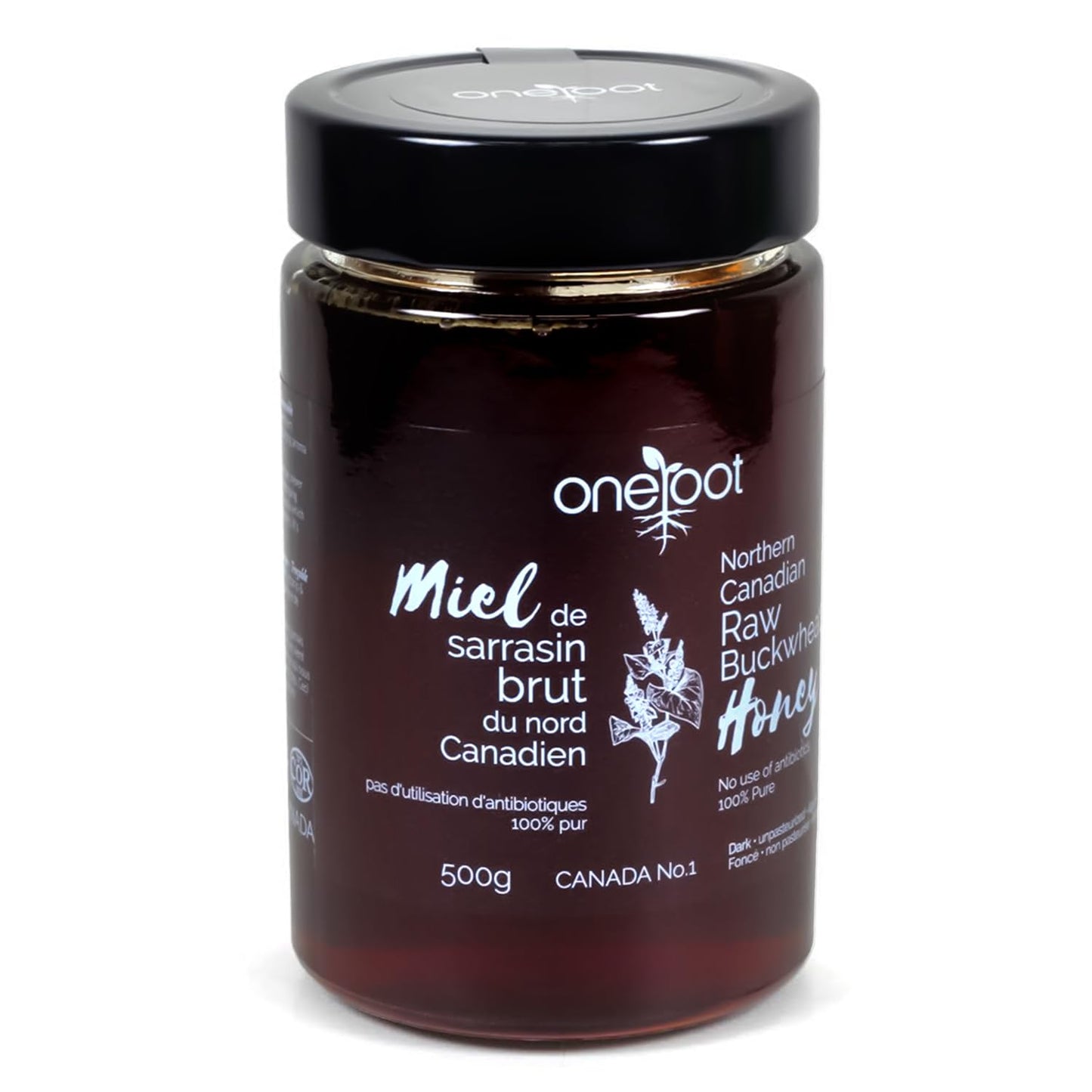 ONEROOT Canadian Raw Buckwheat Honey | Northern Ontario Harvest | Unpasteurized & Pure - Rich Antioxidant Content Exceeds Manuka | Certified Kosher (500g)
