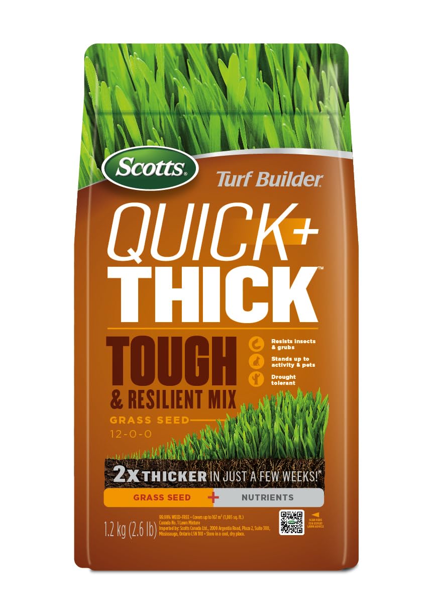 Scotts Turf Builder Quick + Thick Tough & Resilient Grass Seed Mix, 1.2kg (167 sq Meters / 1,805 sq feet Coverage) | Resilient Mix for Active Yards, Pets & Pests 🍁 All In One Marketplace Canada