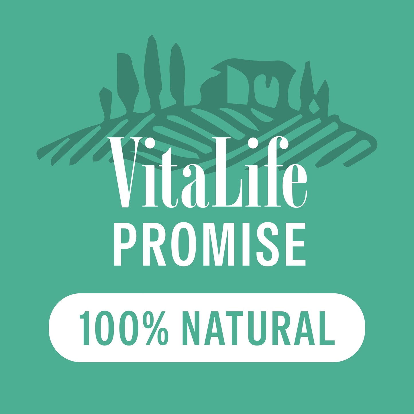 VitaLife 750 g Duck Tenders, All Natural Dog Treats