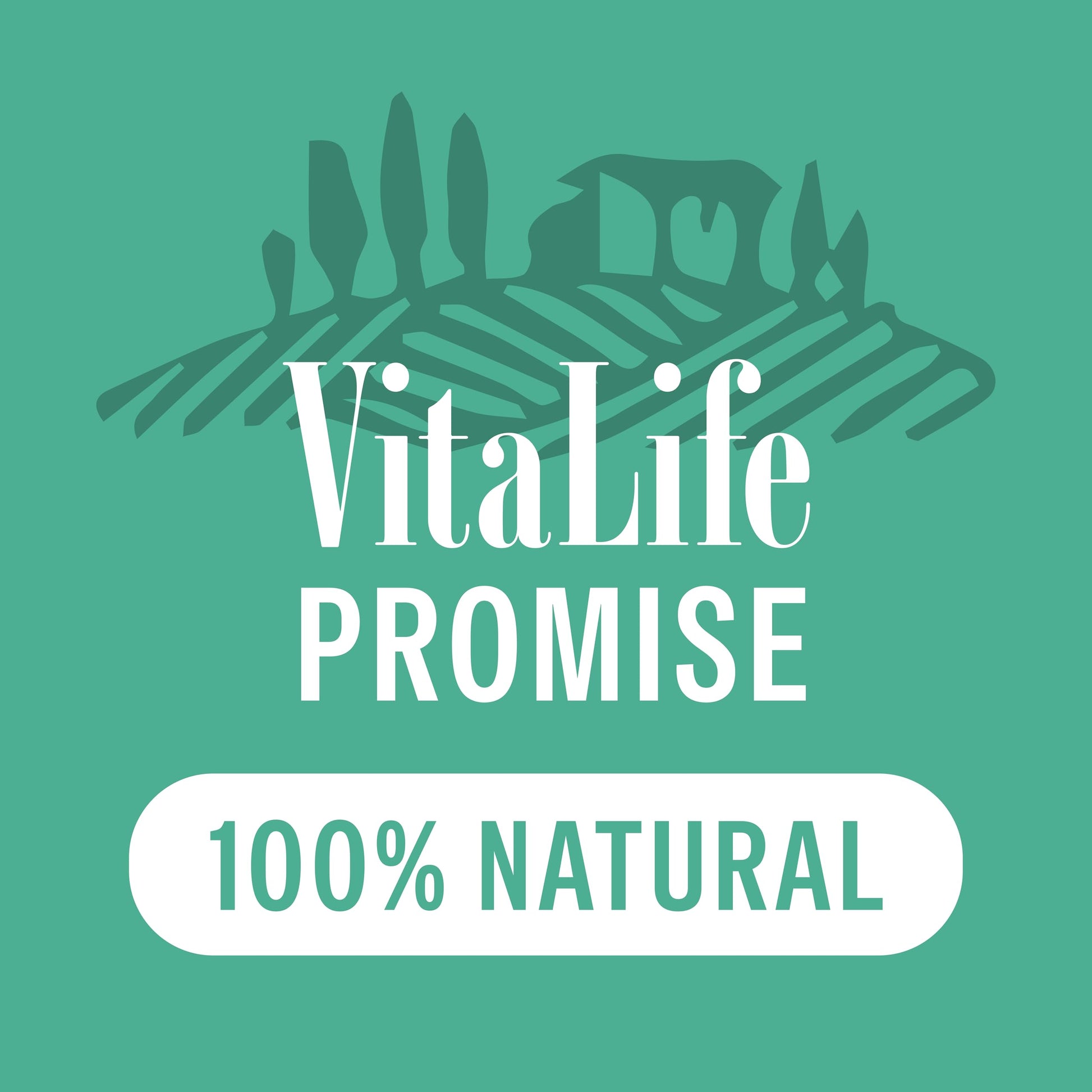 VitaLife 750 g Duck Tenders, All Natural Dog Treats