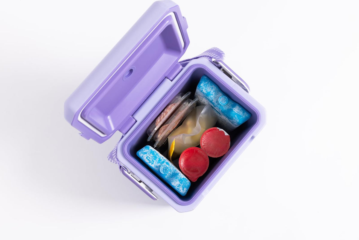 Igloo Maxcold Ice Block,2 Pieces, Ice Block