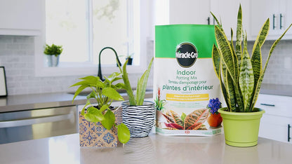 Miracle-Gro Indoor Potting Mix 8.8L, 2-Pack | Gnat-Free Formula with Coir & Perlite | Feeds 6 Months for Houseplants & Containers 🍁 All In One Marketplace Canada