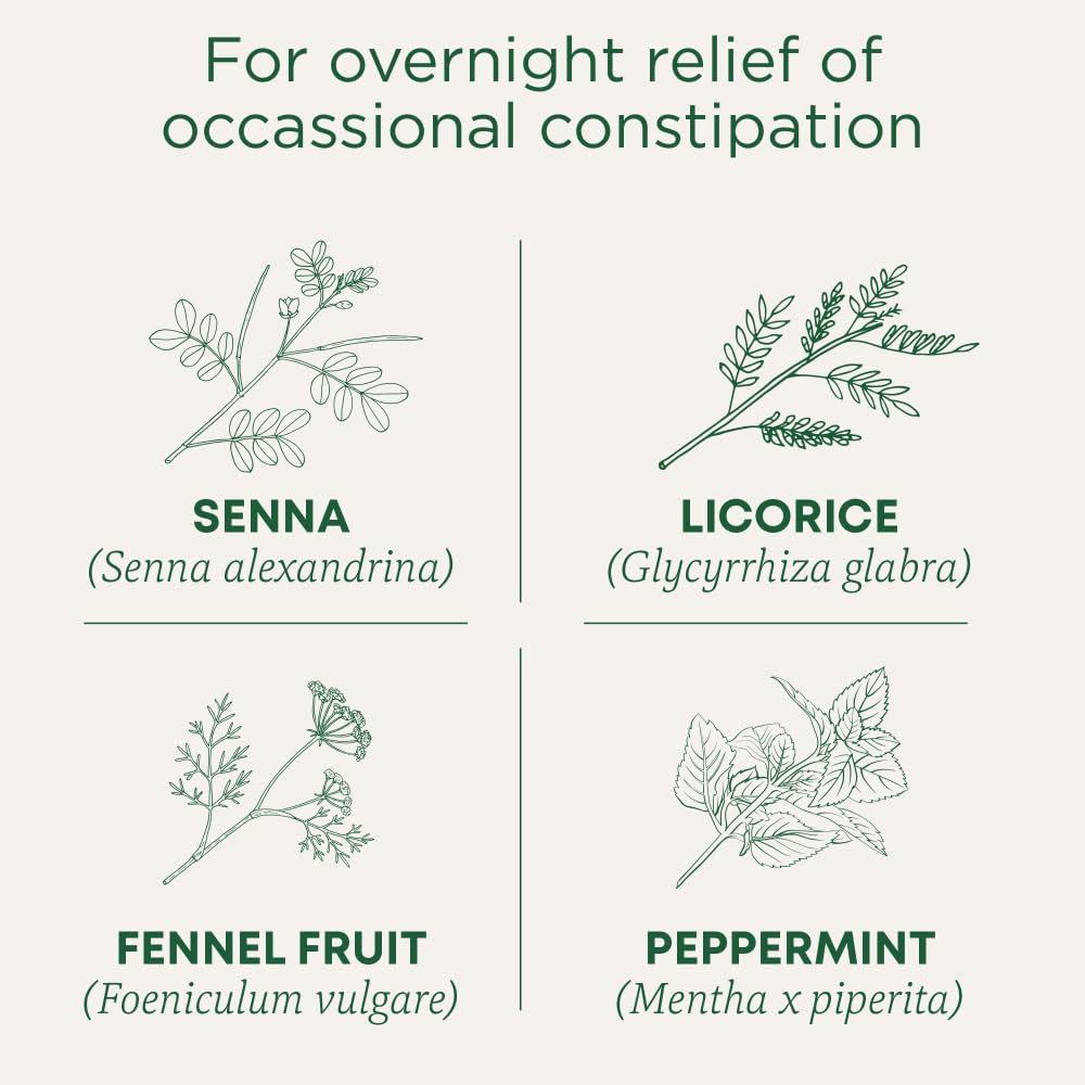 Traditional Medicinals Organic Spearmint Herbal Tea – 6 Pack (96 Tea Bags)