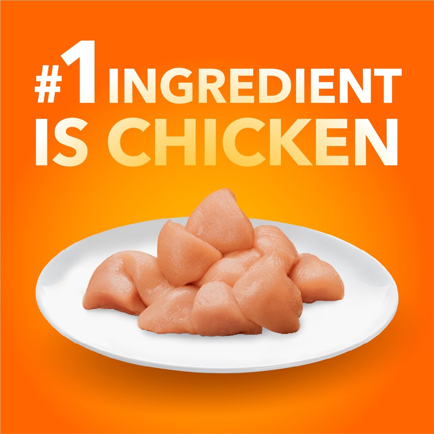 IAMS Proactive Health Healthy Adult Dry Cat Food – Chicken – 7.26KG (16LB) Bag